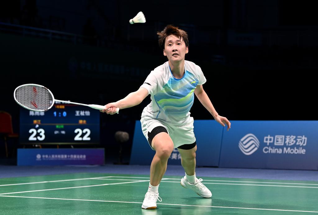 定期更新和 定期更新和