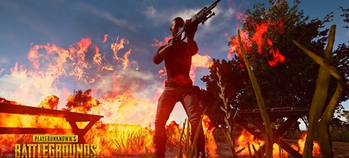 也为研究皇 也为研究皇